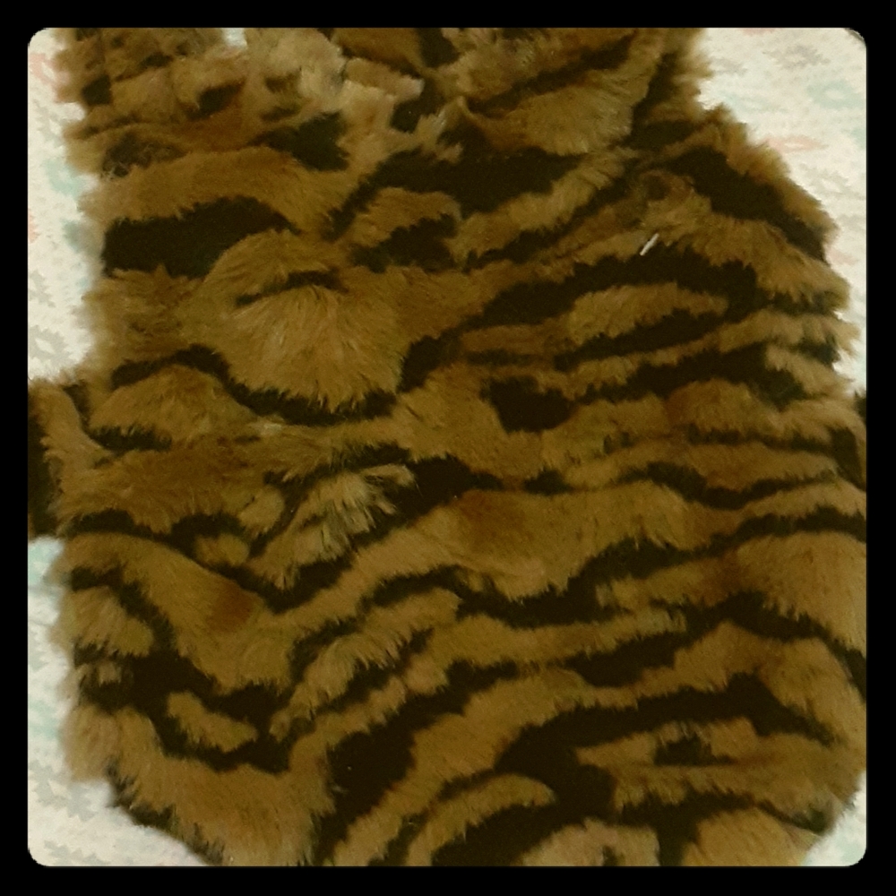 Small Pets Halloween cheetah jacket